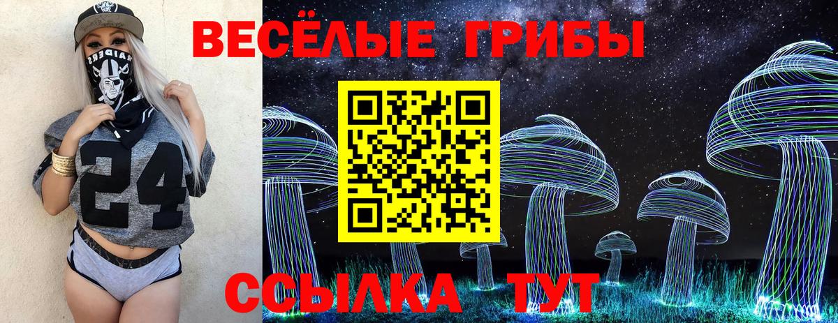 Галлюциногенные грибы мицелий Кисловодск